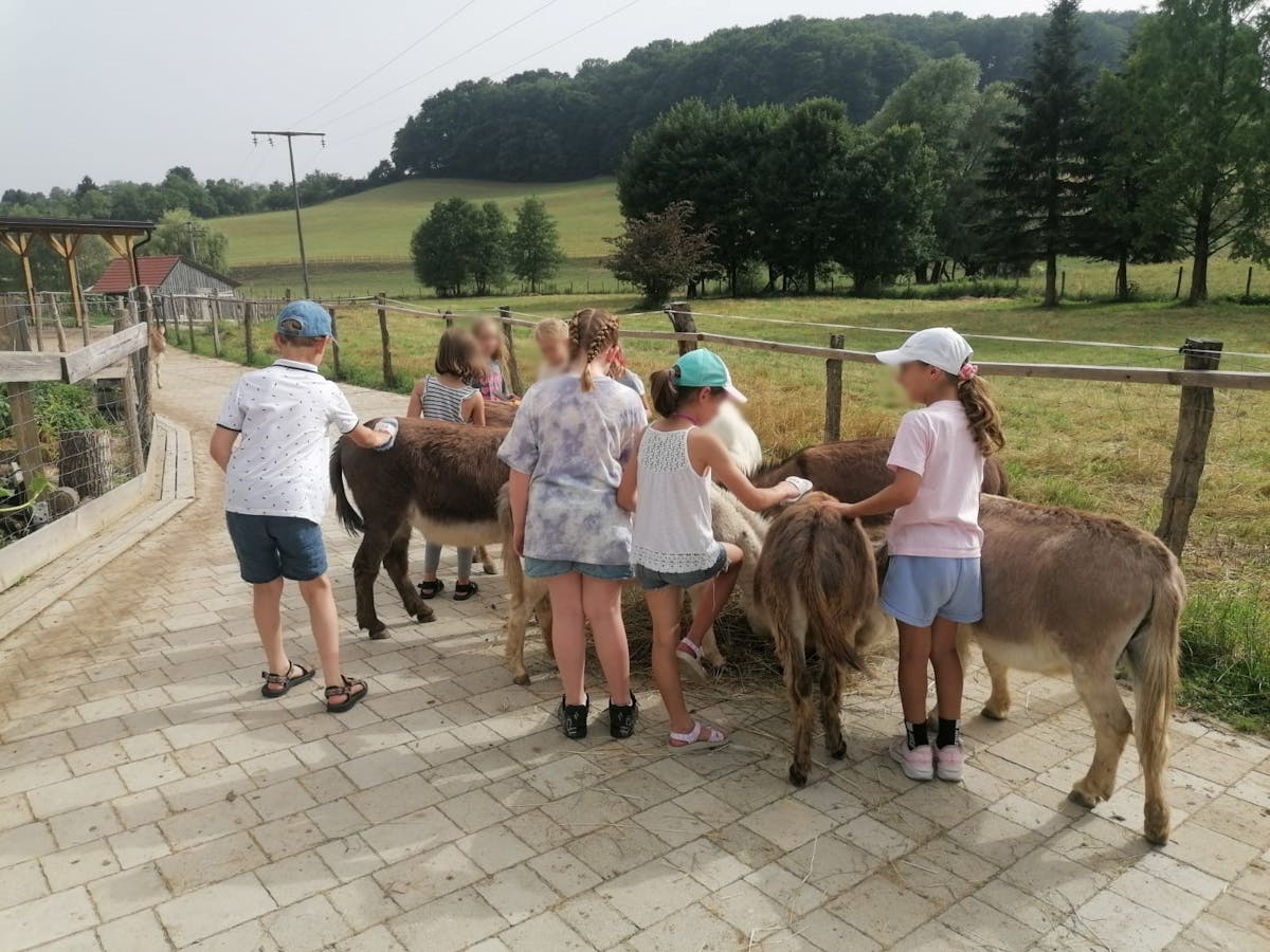 Voden ogled posestva in druženje z živalmi za najmlajše